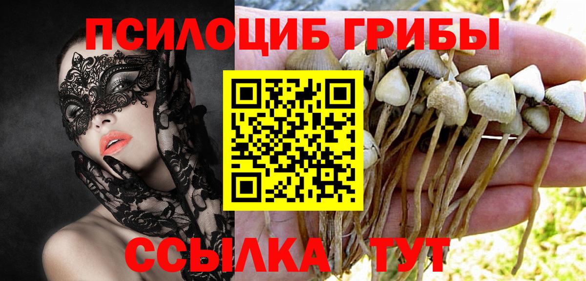 Псилоцибиновые грибы мухоморы Кольчугино